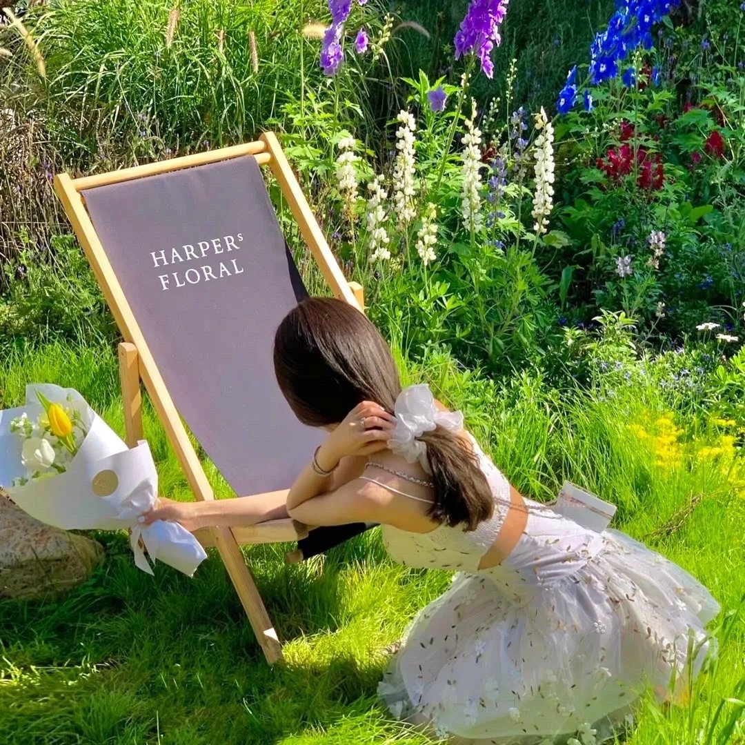 陌生人：第二章